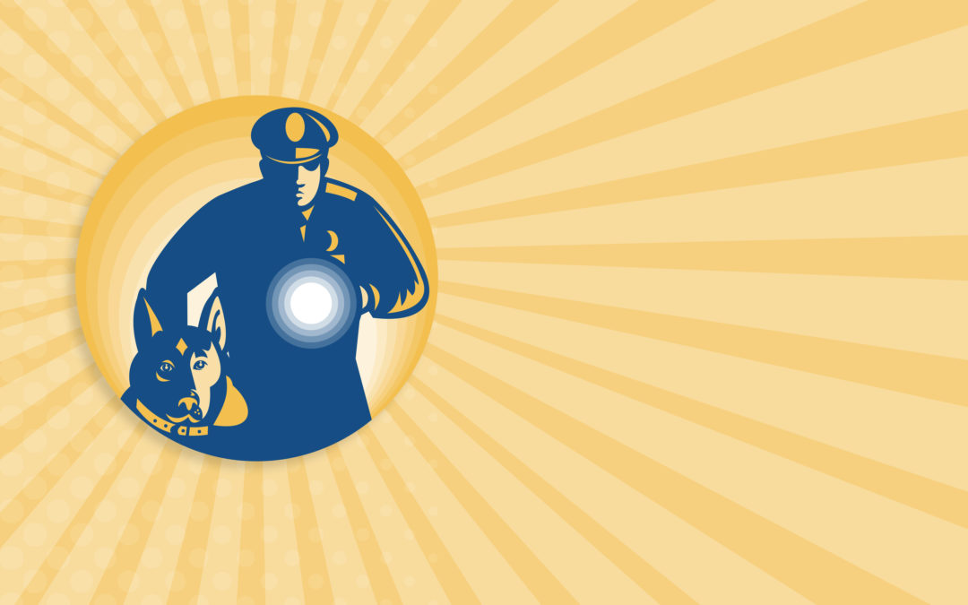 6 Questions to Ask Before Getting a Video Surveillance System Installation